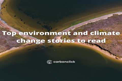 Top environment and climate change stories to read