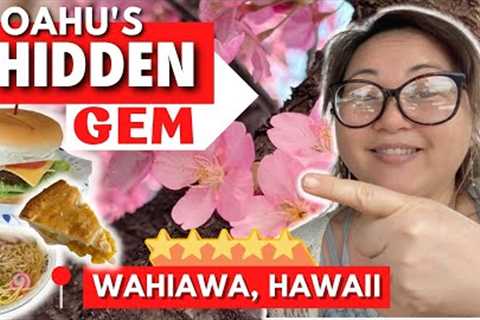 Hidden Cherry Blossoms in Hawaii ?! | Exploring Wahiawa, Oahu | Hawaii Food Tour