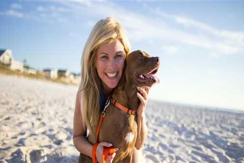 Are Pets Welcome at the Panama City Beach Festival?