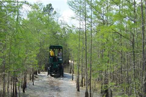 Exploring Wildlife in New York's Offroad Parks