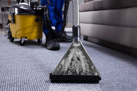 Carpet Cleaning: Do I Need to Rinse After Using a Cleaner?