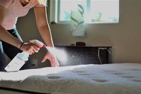 How To Clean A Mattress