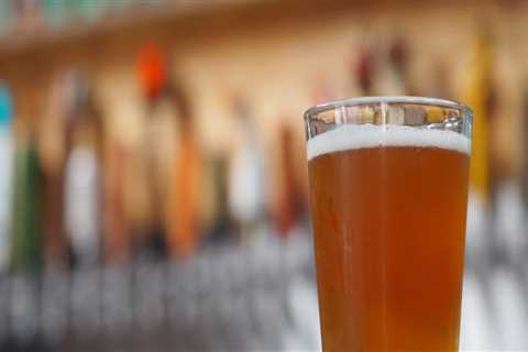 Exploring the Craft Beer Scene in Sarasota, Florida