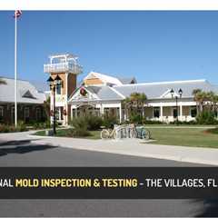 Mold Inspection The Villages