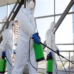 Importance Of Mold Remediation In Steel Building Projects In Tullytown, PA