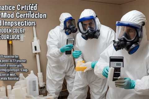 Top-Rated Mold Testing Phoenix – Reliable & Affordable Services