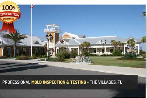 Mold Inspection The Villages