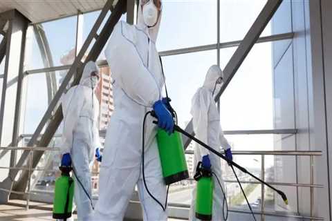 Importance Of Mold Remediation In Steel Building Projects In Tullytown, PA