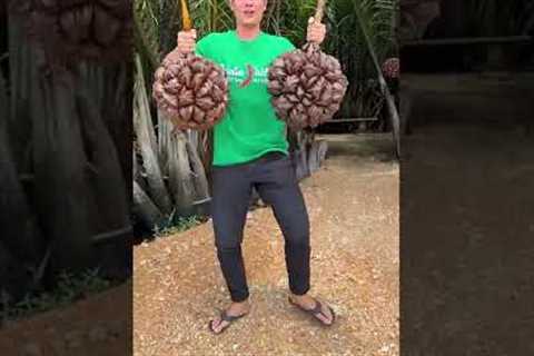 The Most Unique Fruit in the World - Here''s How You Eat It! #Shorts