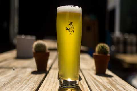 The Ultimate Guide to Craft Beer Selections at Eateries in Scottsdale, AZ