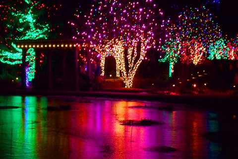 When Does the Festival of Lights End Each Night in Colorado Springs?