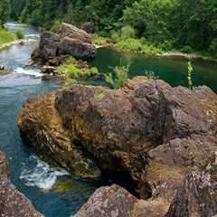 Exploring the Food Services Available in Marion County, Oregon