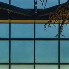 The Best Steakhouses in King County, Washington for Outdoor Dining with a View: An Expert's Guide