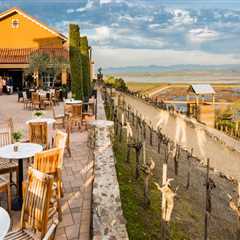 The Enduring Legacy of Cafes in Sonoma County, California