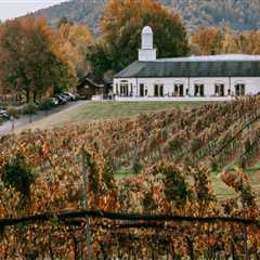 The Best Dining Spots in Central Virginia with a Scenic View