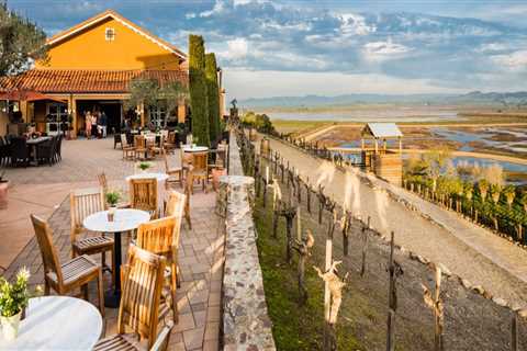 The Enduring Legacy of Cafes in Sonoma County, California