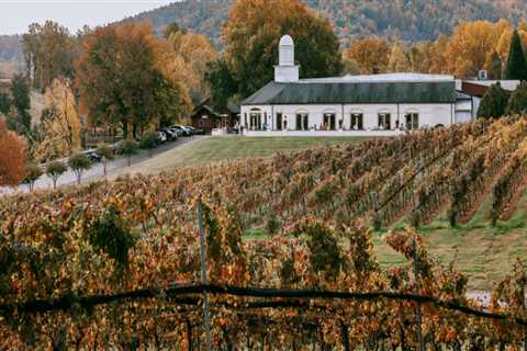 The Best Dining Spots in Central Virginia with a Scenic View