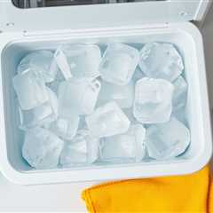 Ultimate Guide to Cleaning Ice Maker Components for Crystal Clear Ice and Enhanced Performance